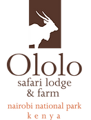 OLOLO LOGO (1)