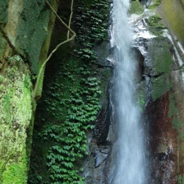 GOMBE STREAM NATIONAL PARK