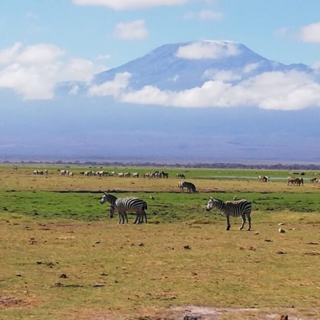 AMBOSELI NATIONAL PARK