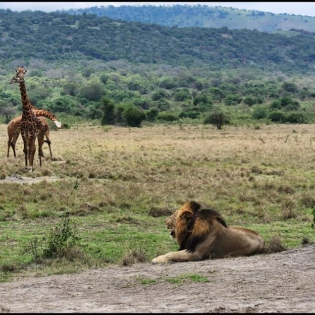 AKAGERA NATIONAL PARK