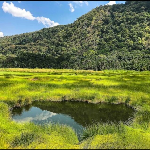 SEMULIKI NATIONAL PARK