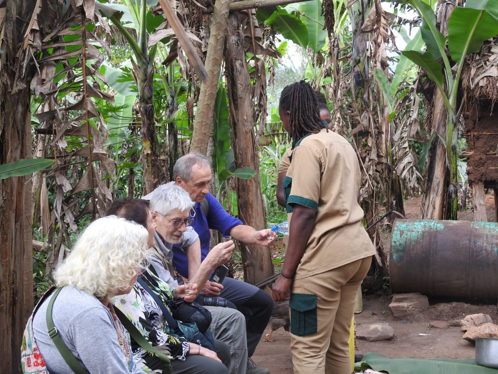 senior-friendly safari